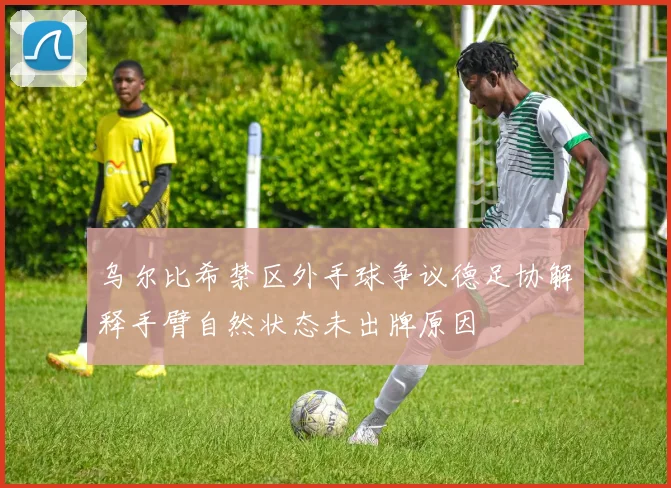 乌尔比希禁区外手球争议德足协解释手臂自然状态未出牌原因