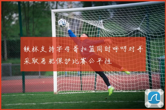 铁林支持字母哥扣篮同时呼吁对手采取恶犯保护比赛公平性