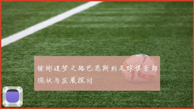 徐彬追梦之路巴恩斯利足球俱乐部现状与发展探讨