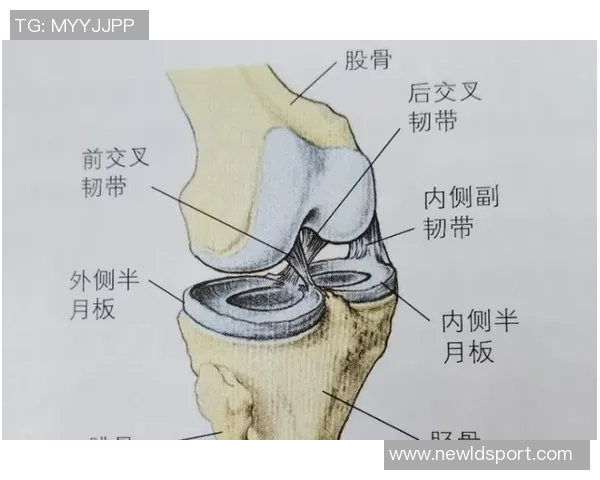 杜埃伤情乐观无需手术恢复时间预计为六到八周